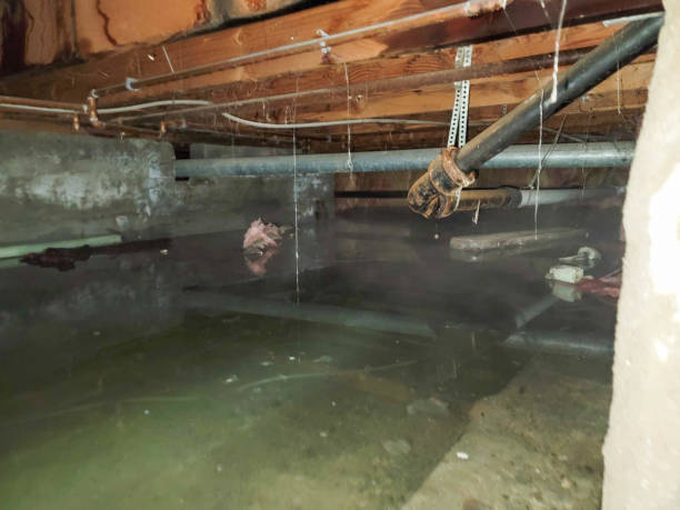 Best Water damage restoration company  in Manchester, GA