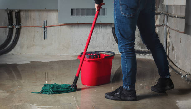 Best Emergency water extraction  in Manchester, GA