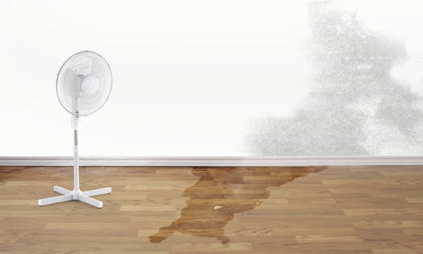 Best Emergency water damage restoration  in Manchester, GA