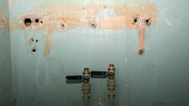 Best Flood restoration services  in Manchester, GA