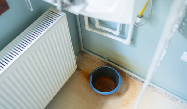 Best Flooded house restoration  in Manchester, GA