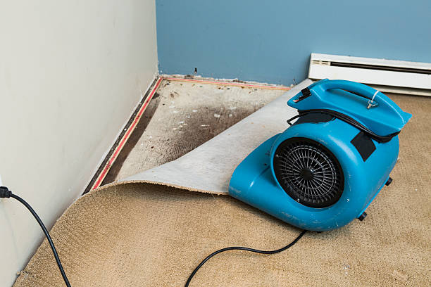 Best Professional water damage repair  in Manchester, GA